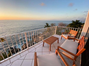 Amazing Views Pool & Ocean Access - Del Mar PV #2